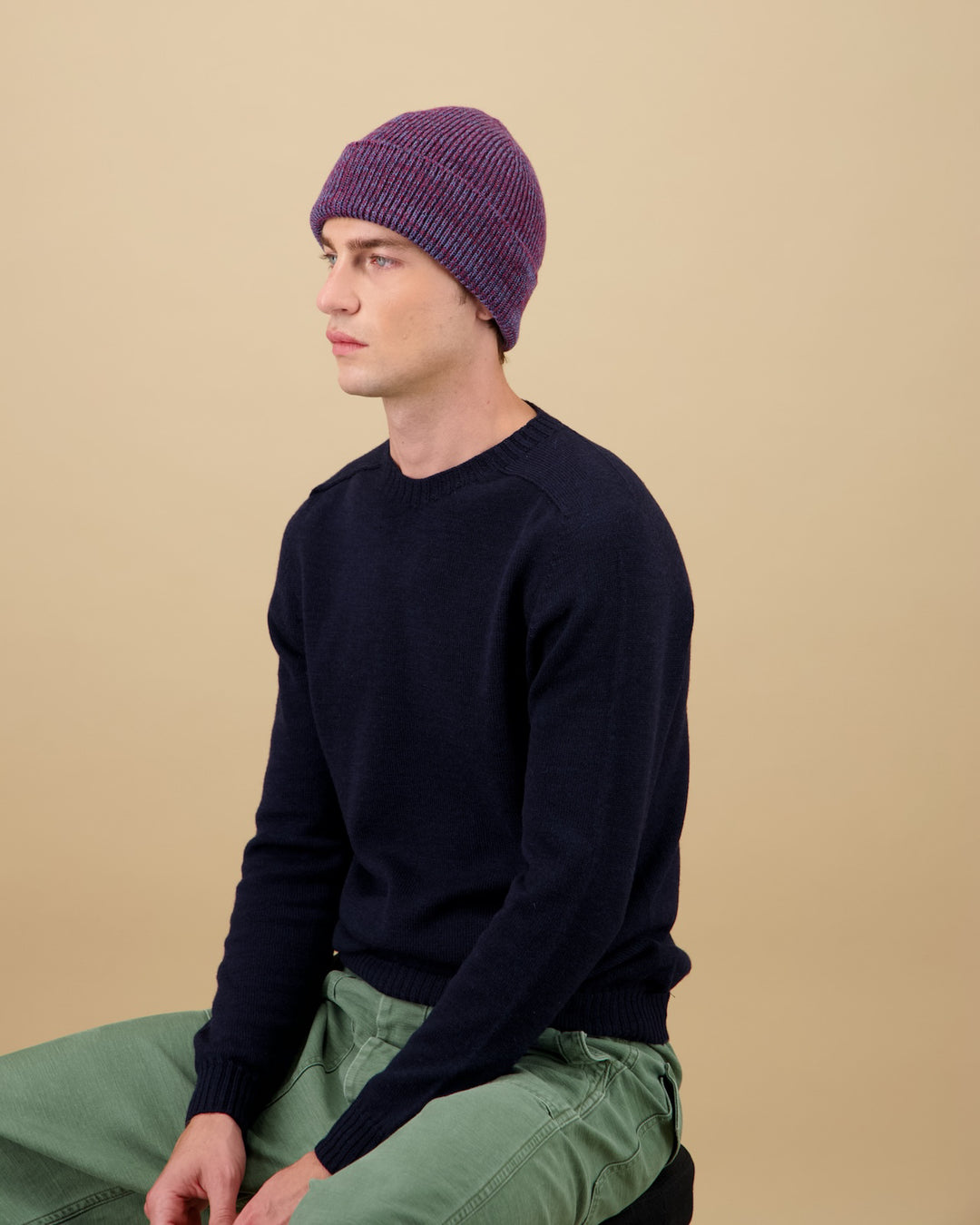 Ara Beanie Marl Plum/Denim Blue