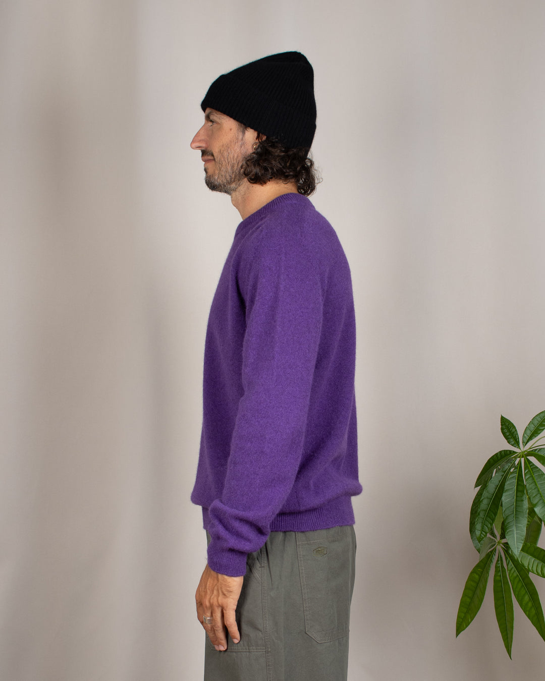 Pull Armen Col Rond Prune