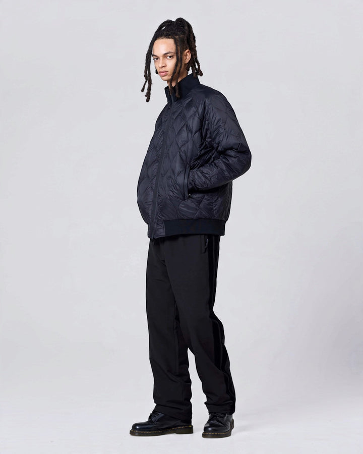 Taion Reversible Relax High-Neck Down Jacket BK×BK (LINE/BLACK), vue portée