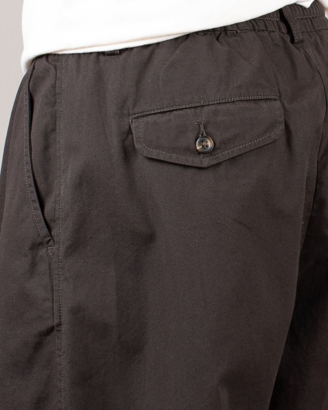 Oxford Pant Micro Canvas Brown