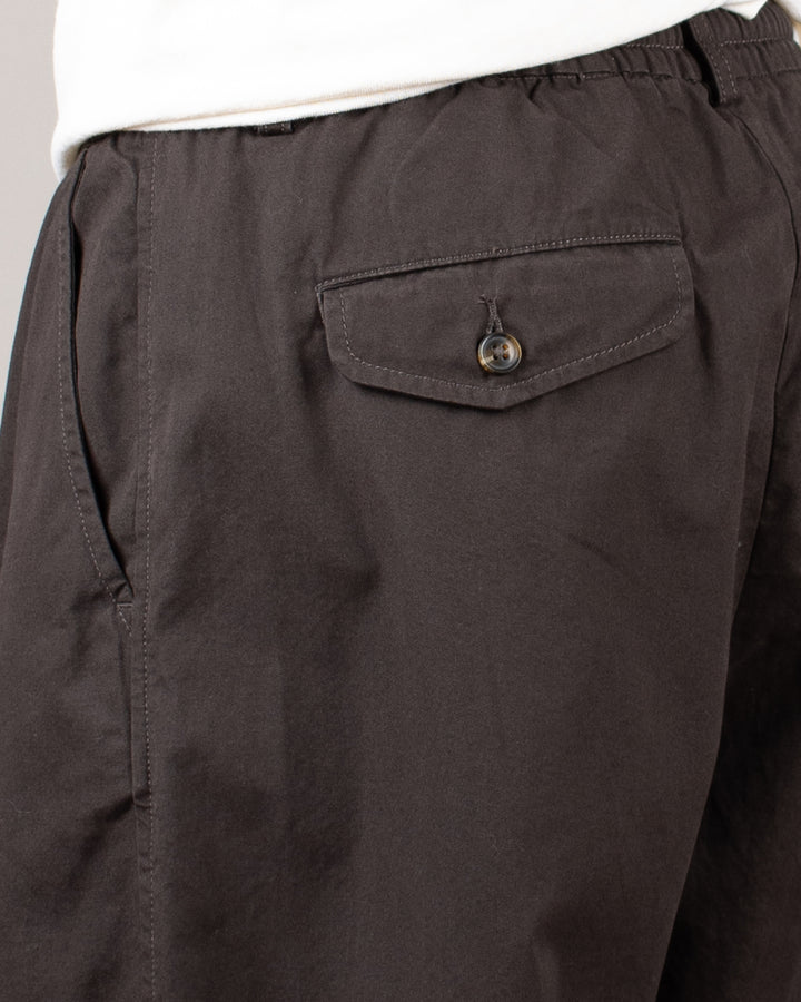 Oxford Pant Micro Canvas Brown