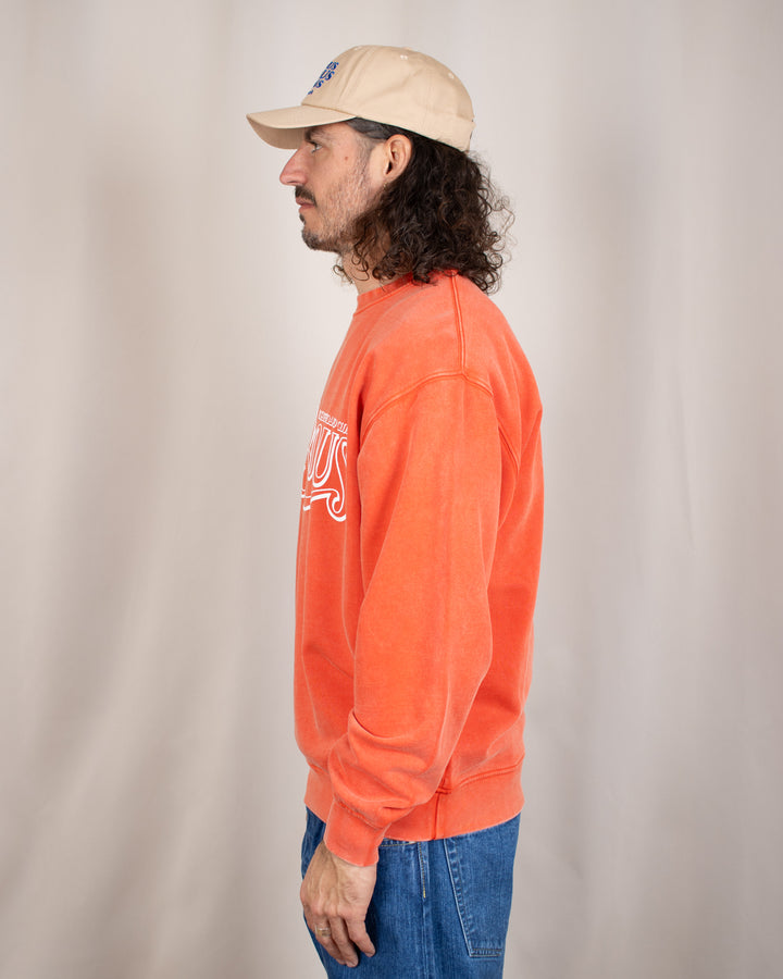 Crewneck Glamour Washed Red