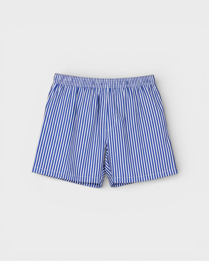 Swimshort Gianni Stripes Navy
